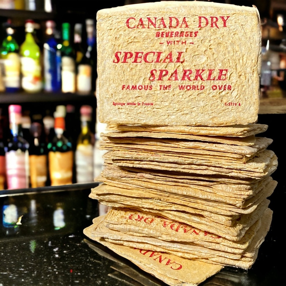 FREE WITH PURCHASE! NWOT Compressed Sponges | Kitchen, Bar, AirBB, B&B